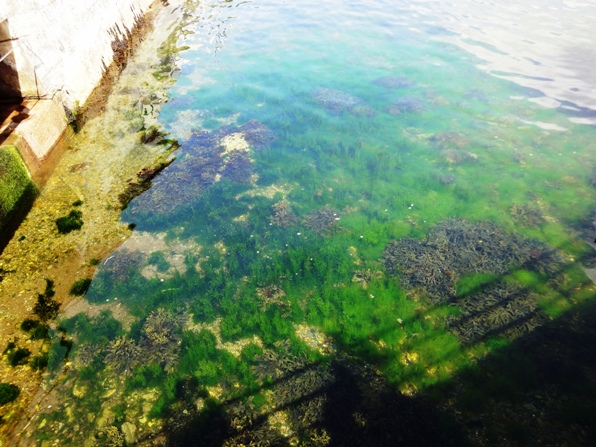 カリラ蒸留所側の海岸